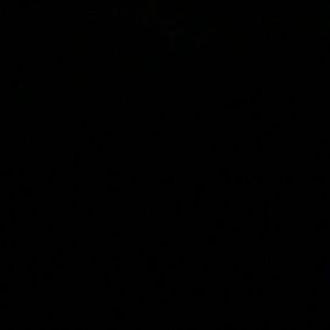 Meet your Posher, Leo